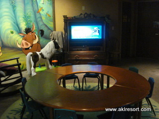 Simba's Clubhouse 4